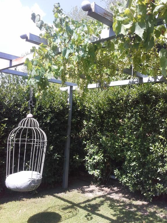Residenza Teodorico Re B&B Viterbo Kültér fotó