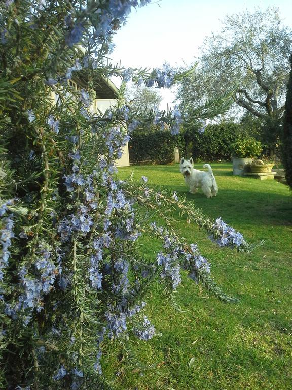 Residenza Teodorico Re B&B Viterbo Kültér fotó