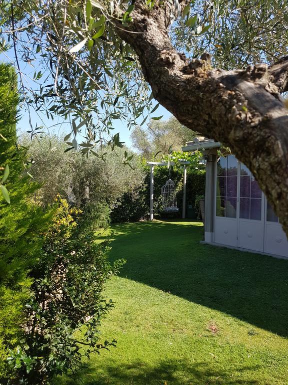 Residenza Teodorico Re B&B Viterbo Kültér fotó